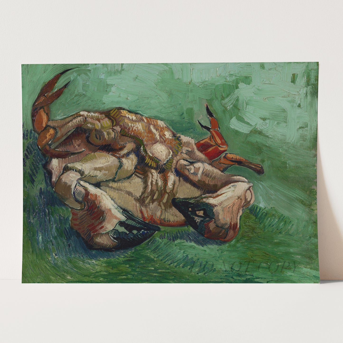 Crab on its Back (1888) by Van Gogh