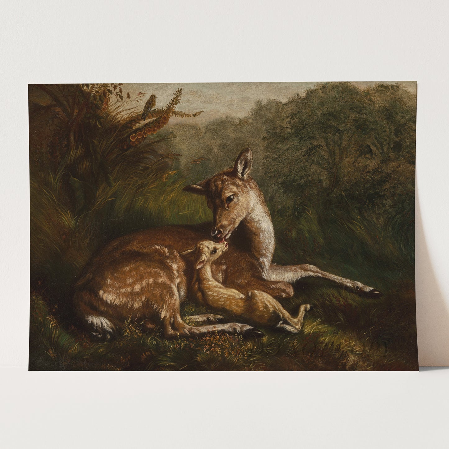 Deer and Fawn (1870) by Arthur Fitzwilliam Tait