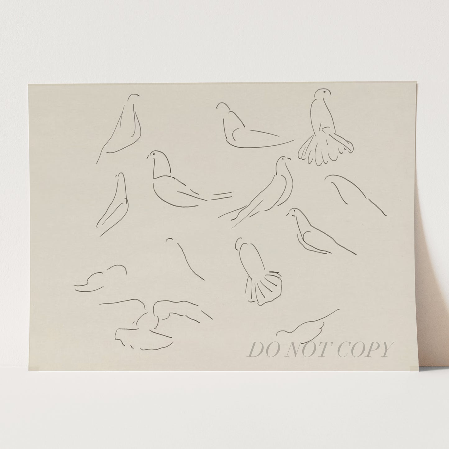 Dove Study