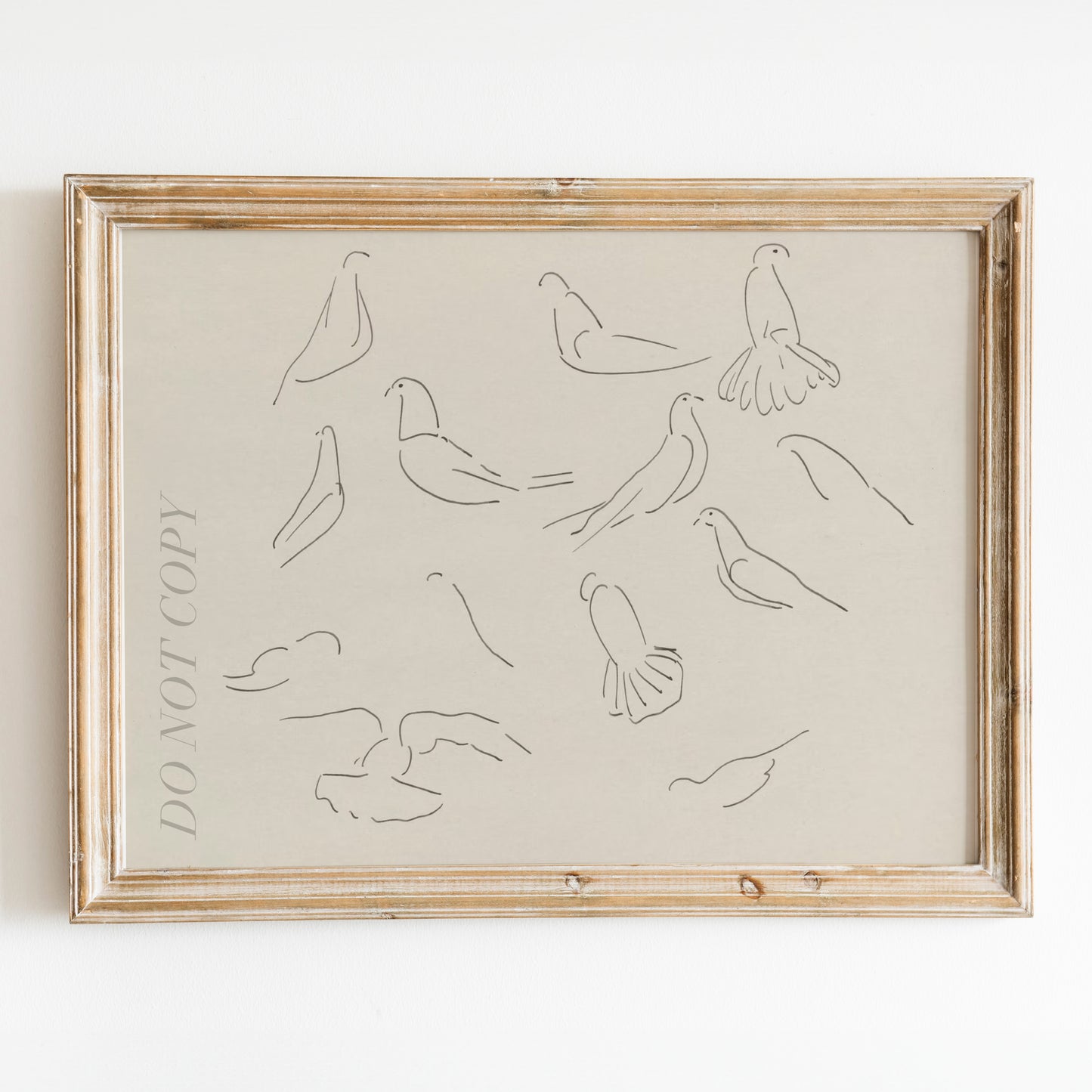 Dove Study