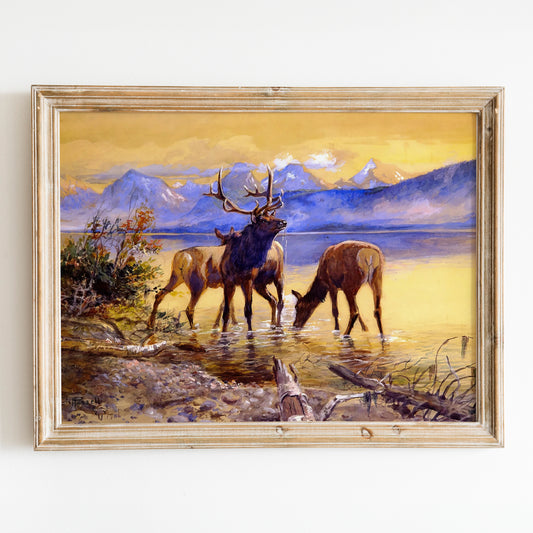 Elk in Lake McDonald by Charles Marion Russell