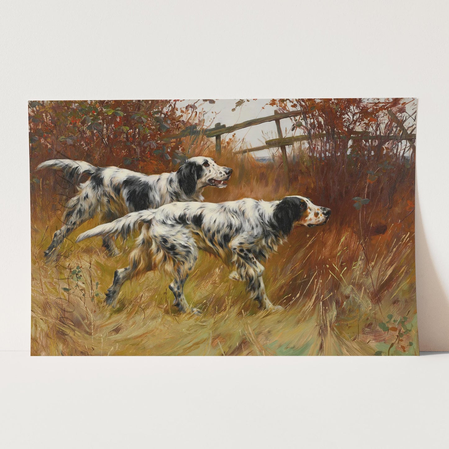 English Setter Hunting Dogs