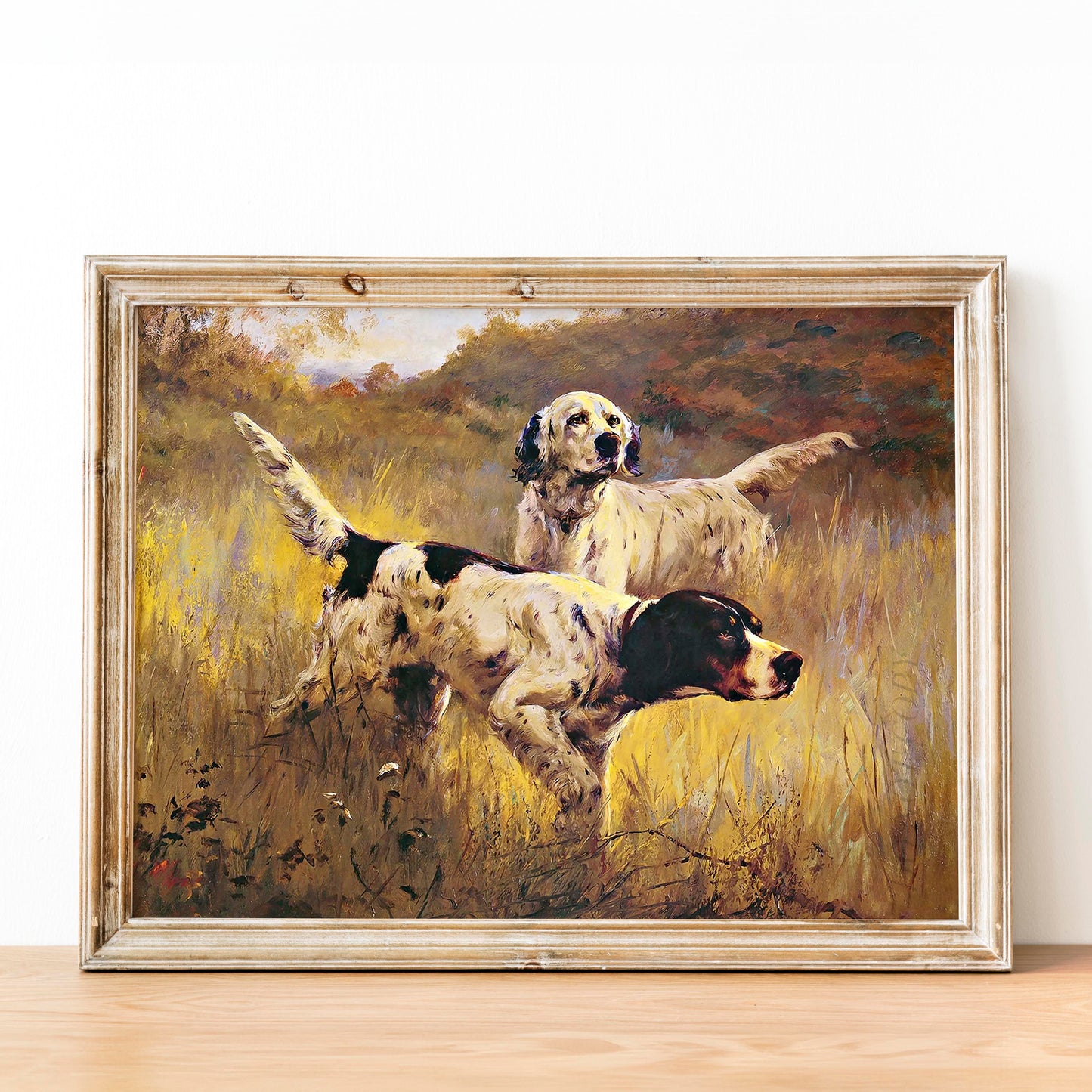 English Setters in the Field