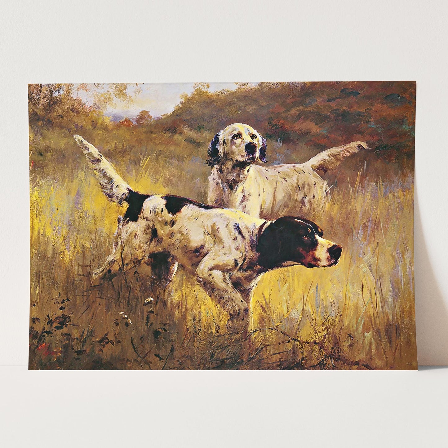 English Setters in the Field