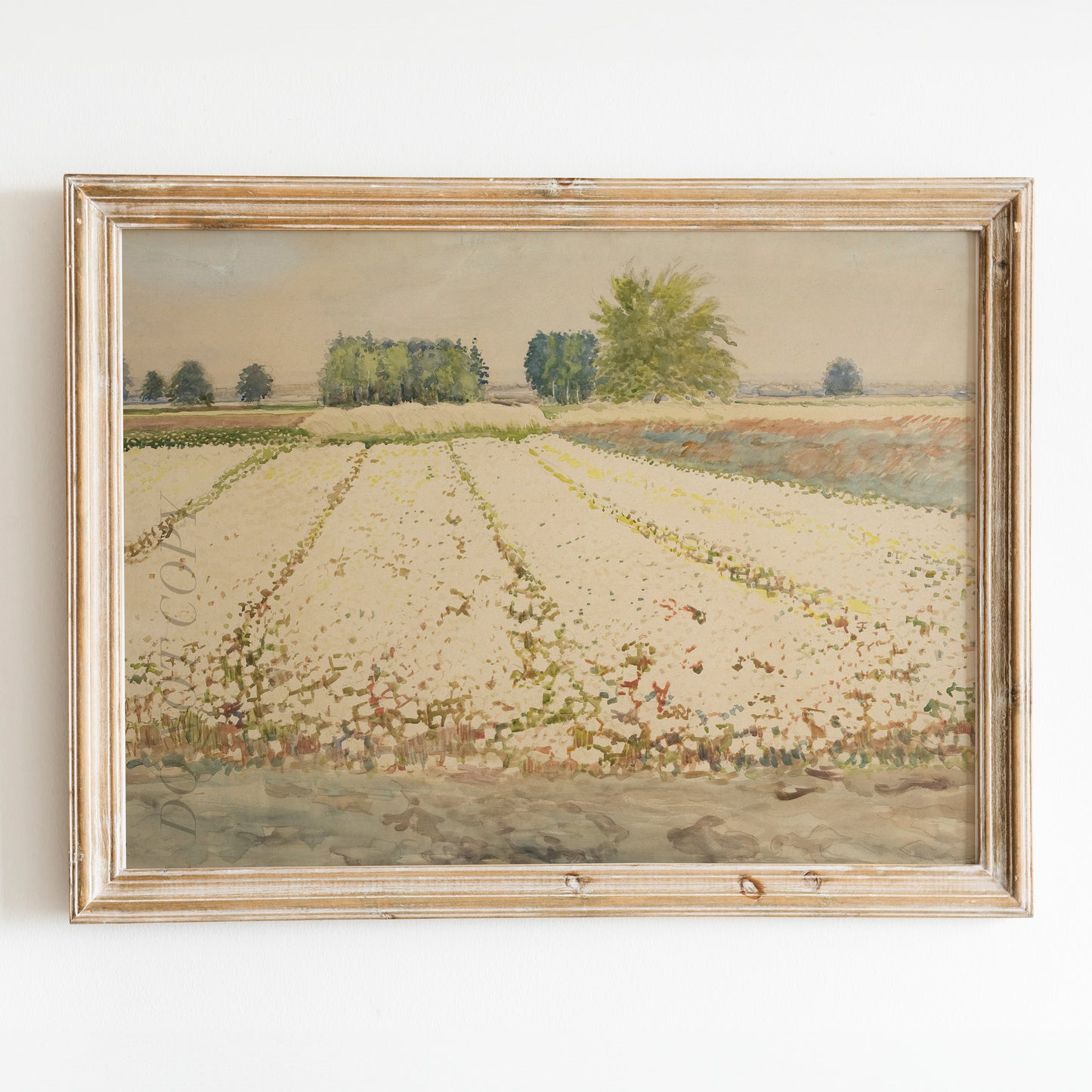 Farm of Flowers