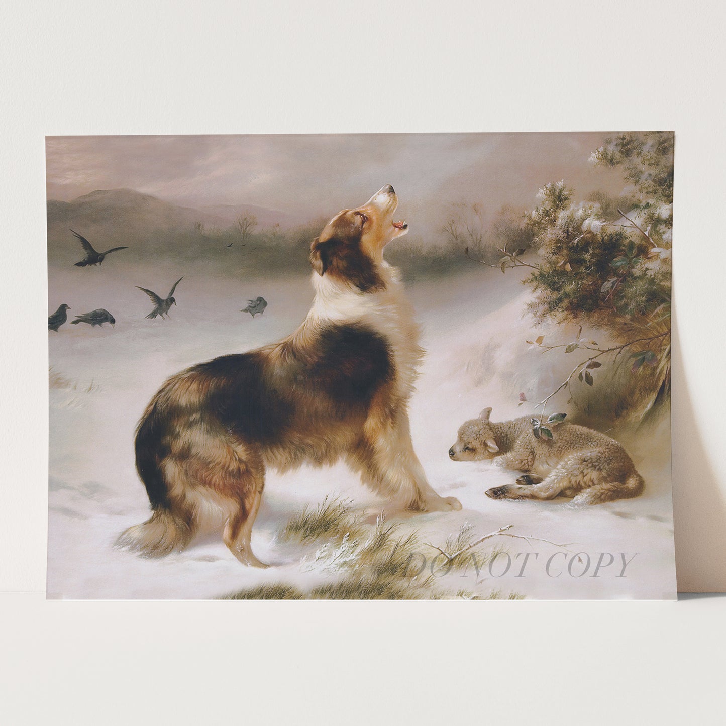 Found, Dog and Lost Lamb