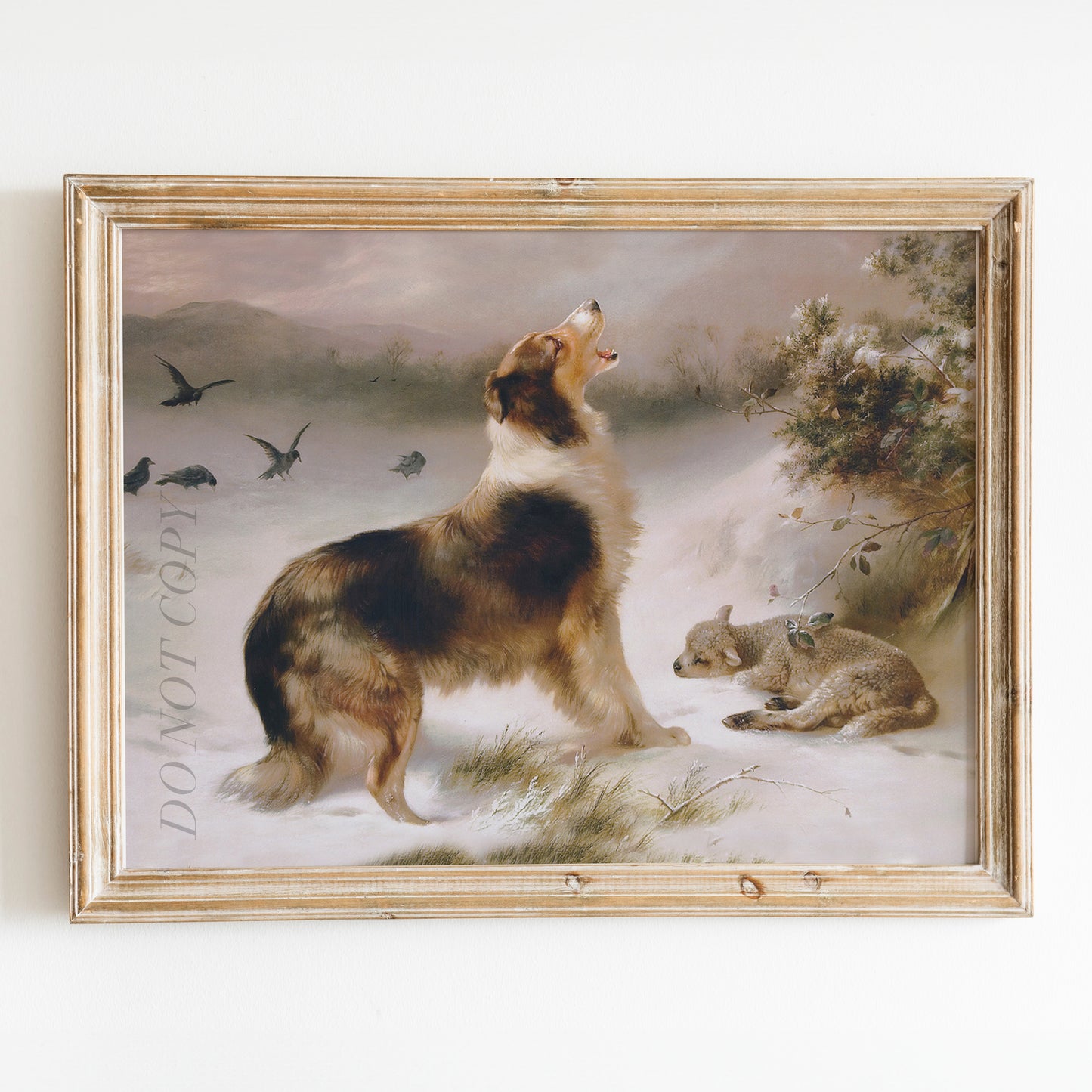 Found, Dog and Lost Lamb