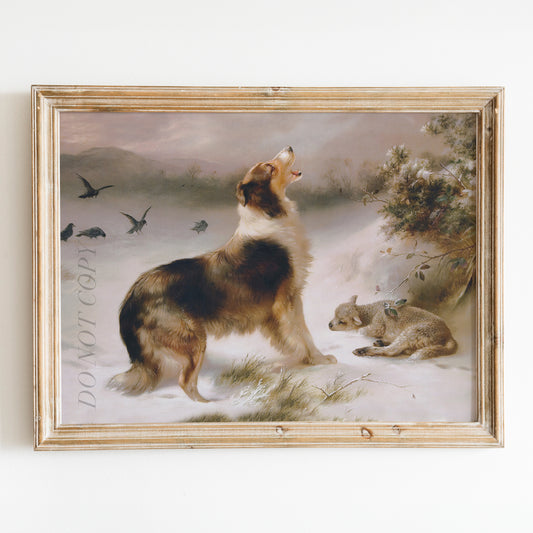 Found, Dog and Lost Lamb