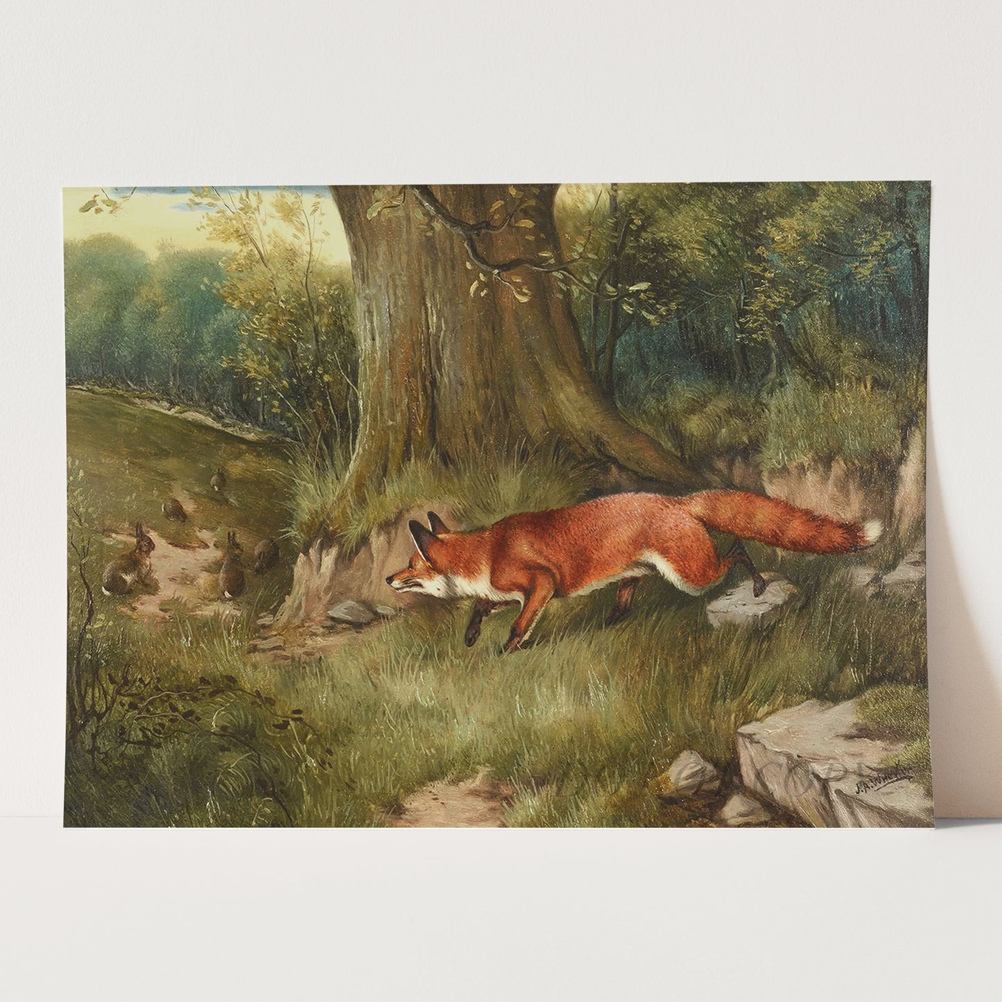 Fox Hunting Rabbits
