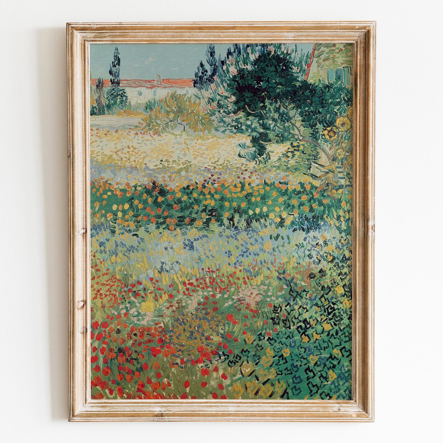 Garden in Bloom at Arles