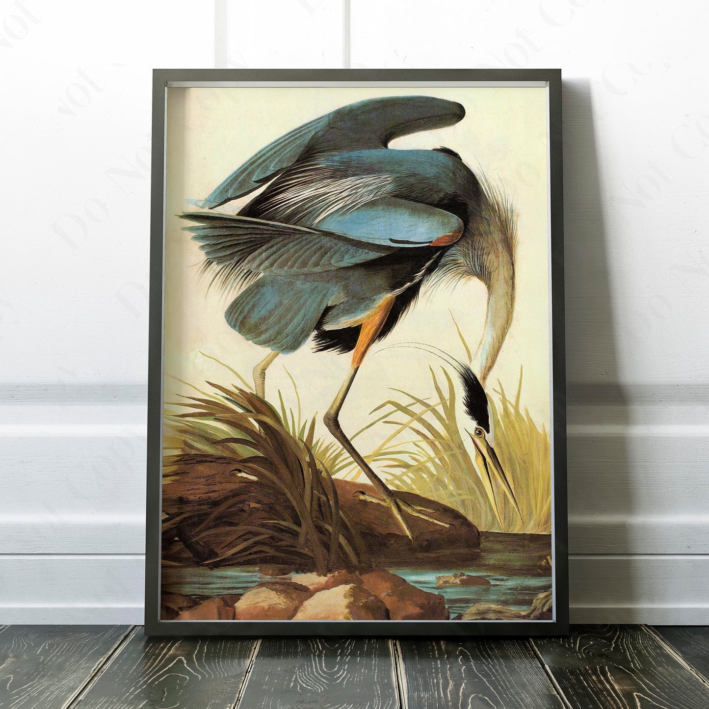 Great Blue Heron 1821