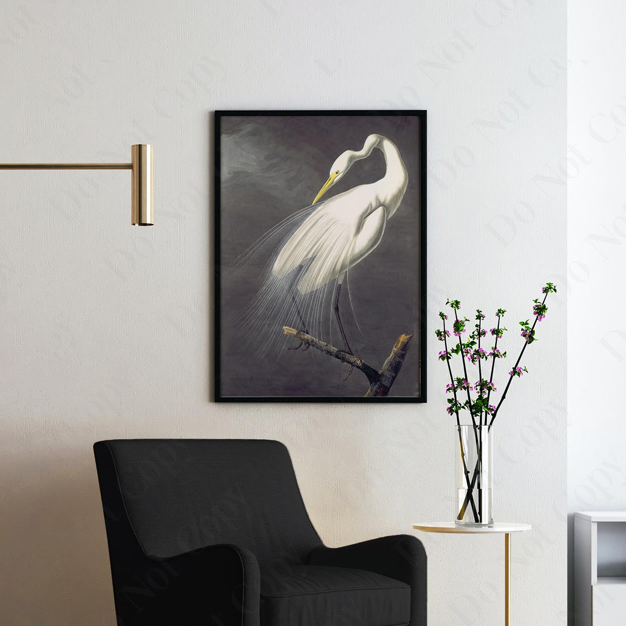 Great Egret, Birds of America