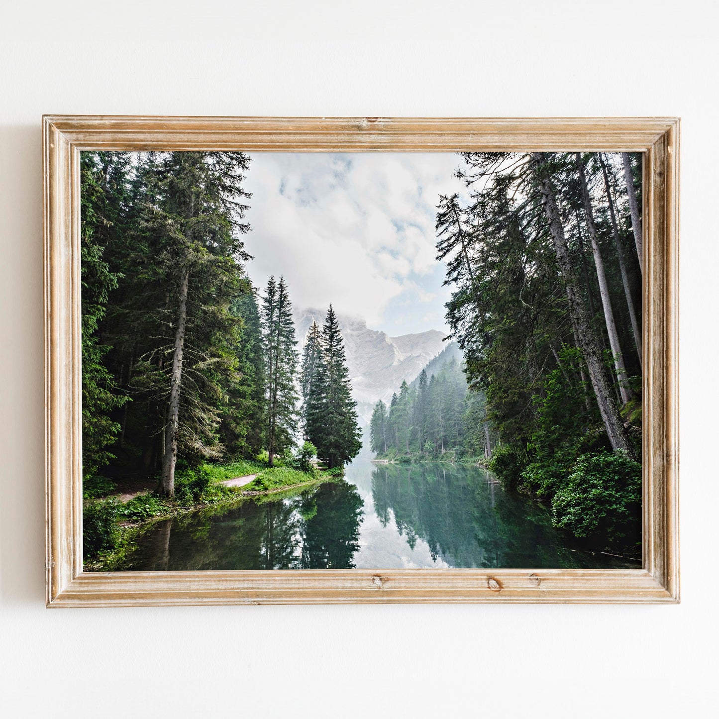 Great Forest with Lake