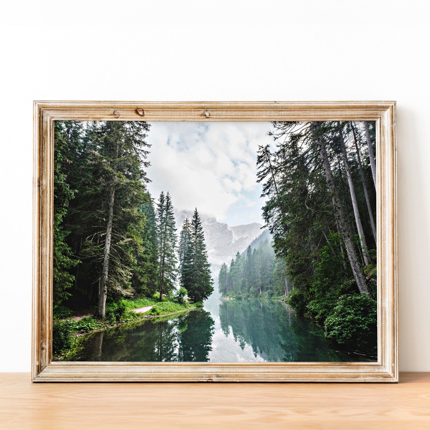 Great Forest with Lake