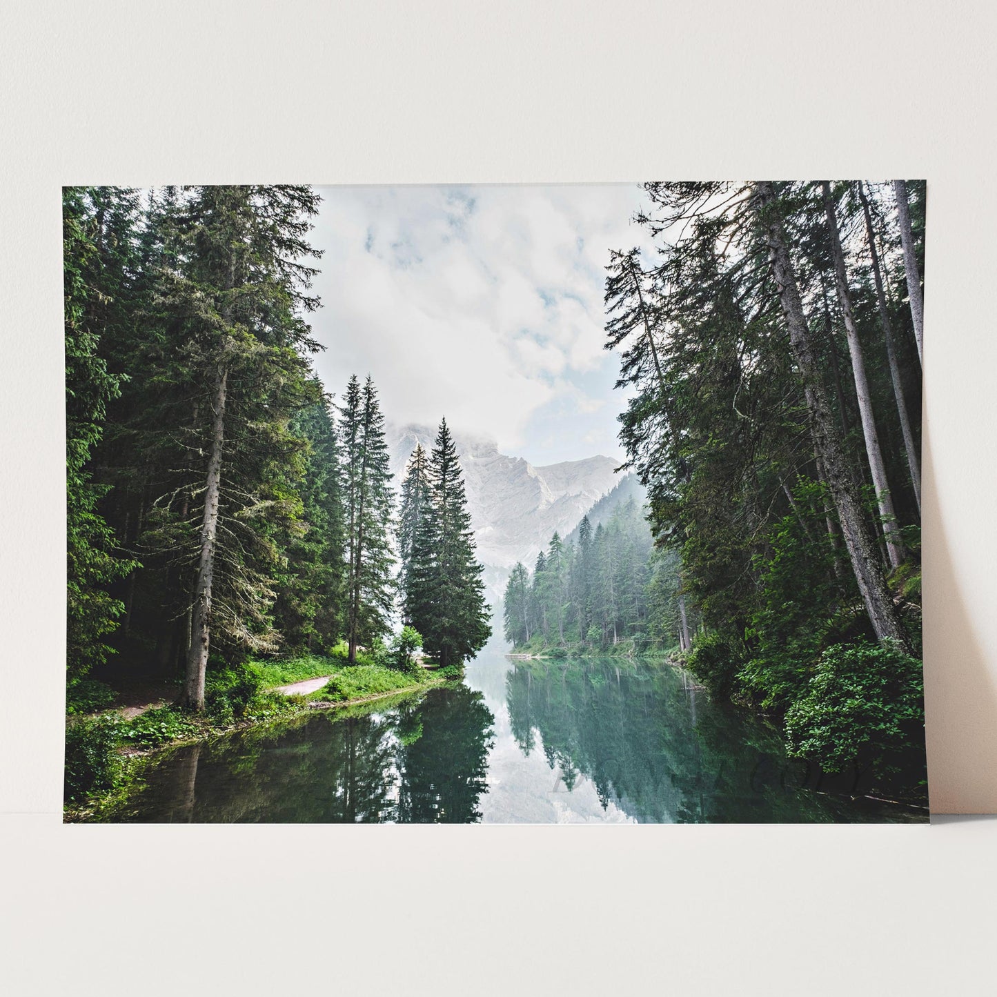 Great Forest with Lake