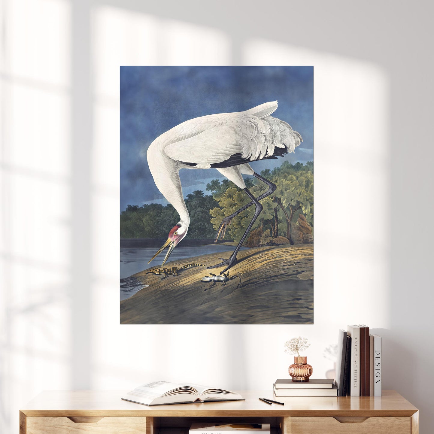 Hooping Crane 1834