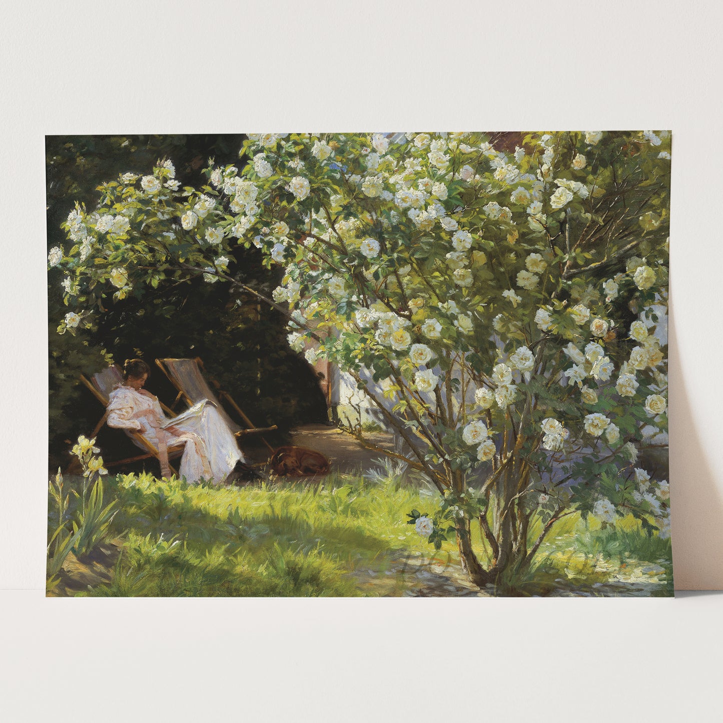 In The Garden