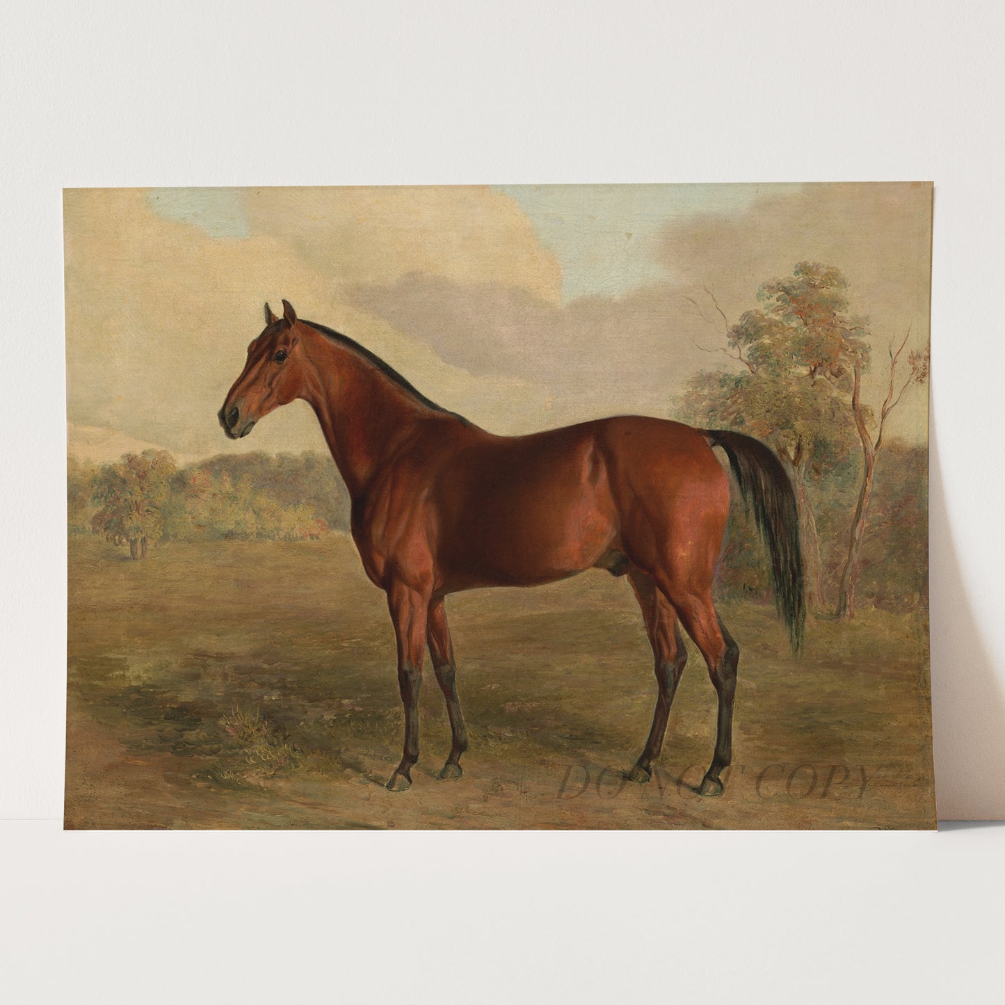 Kentucky Woodpecker (1834) by Edward Troye