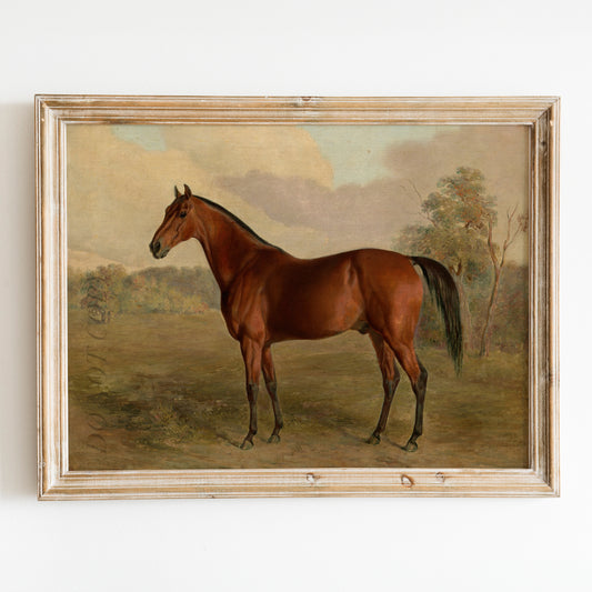 Kentucky Woodpecker (1834) by Edward Troye
