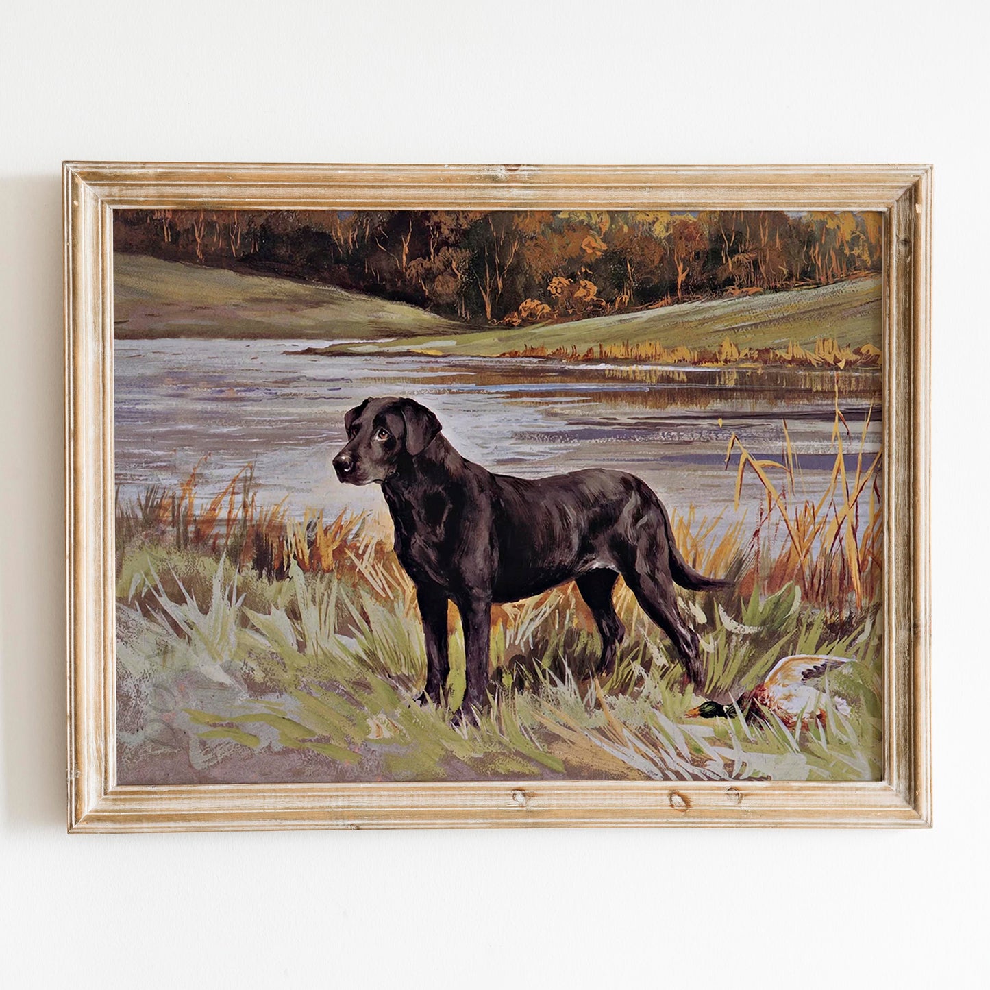 Labrador Retriever with Duck