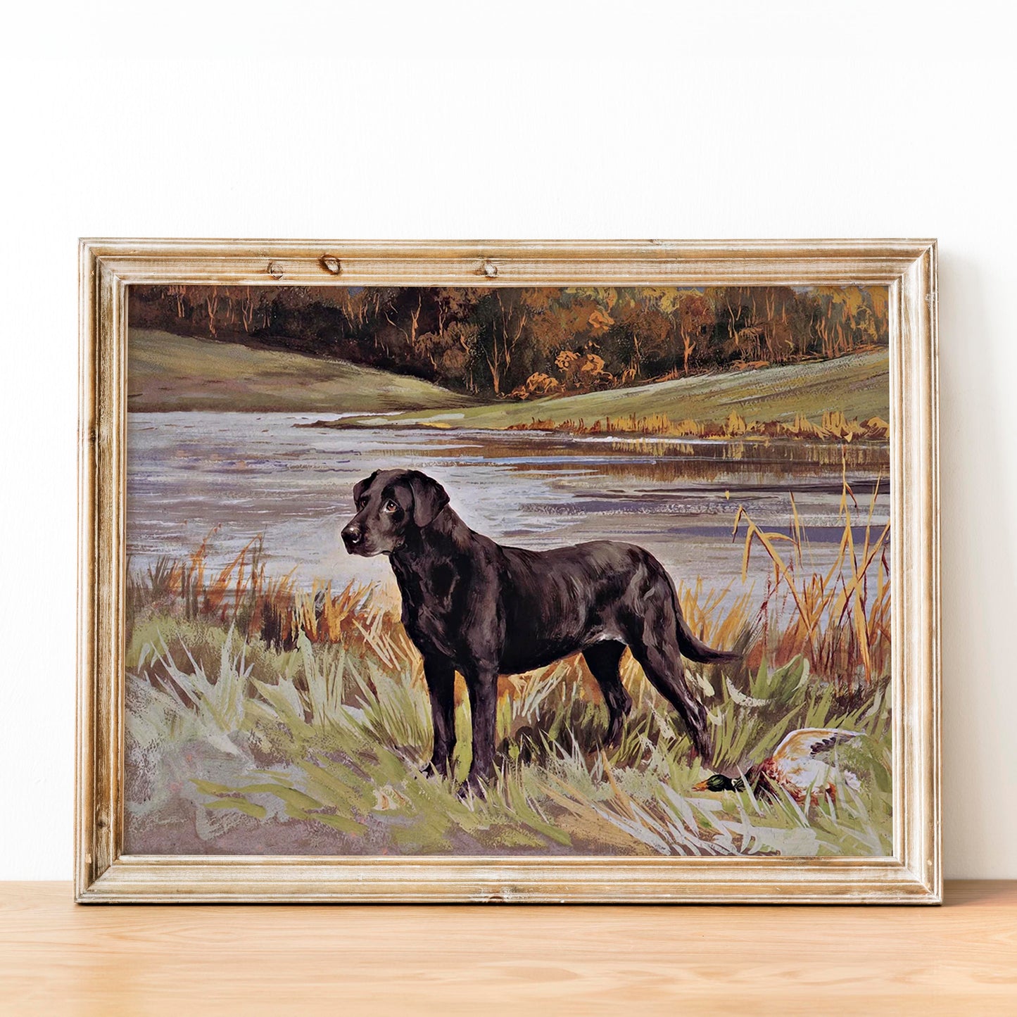 Labrador Retriever with Duck