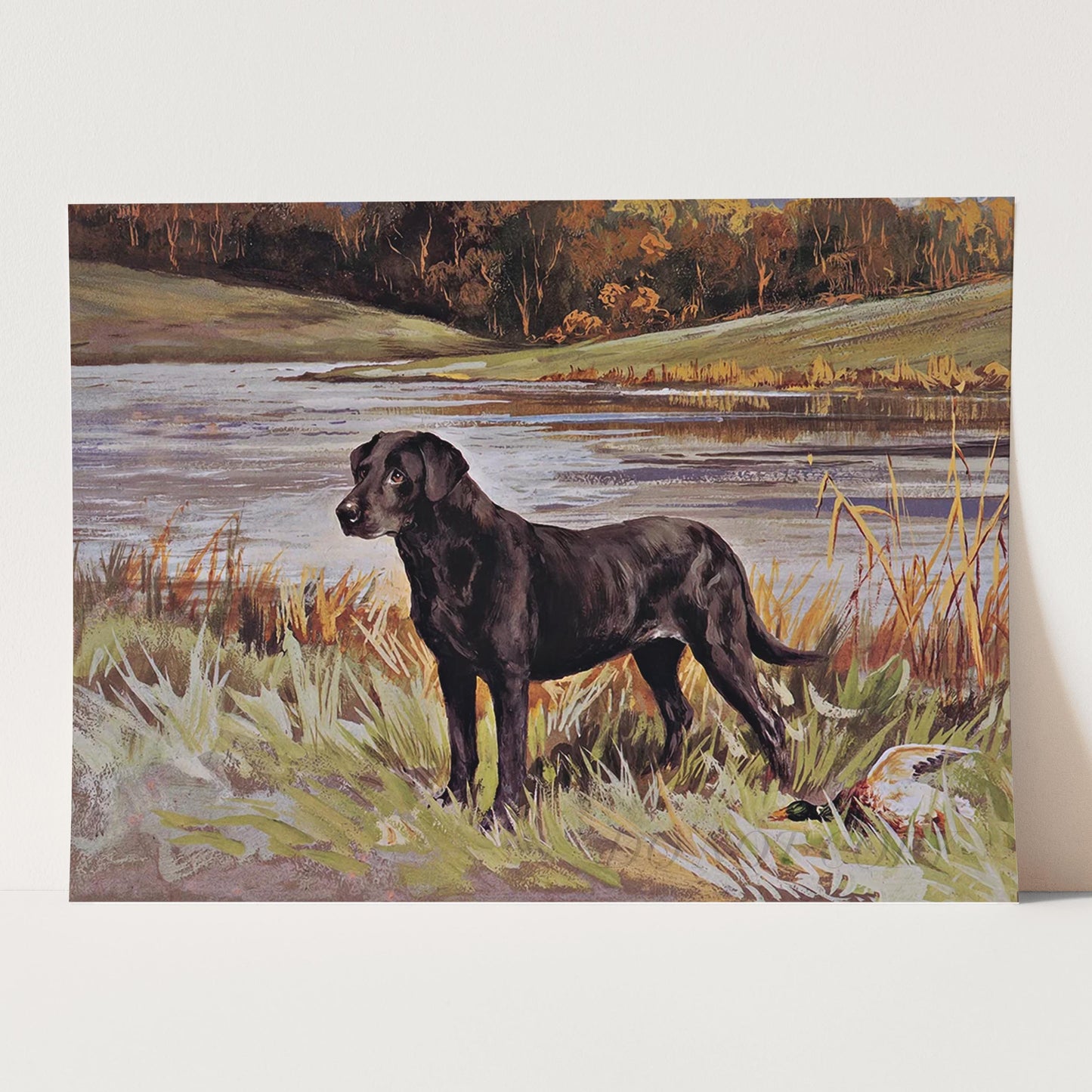 Labrador Retriever with Duck
