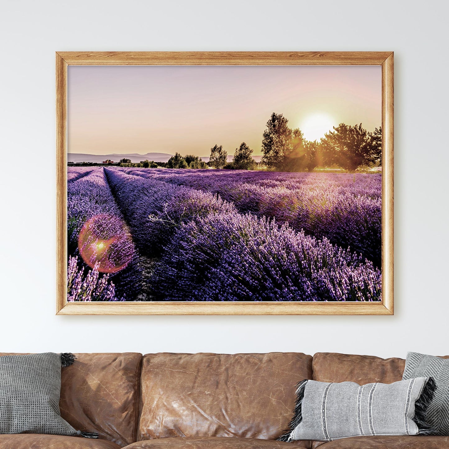 Lavender Fields