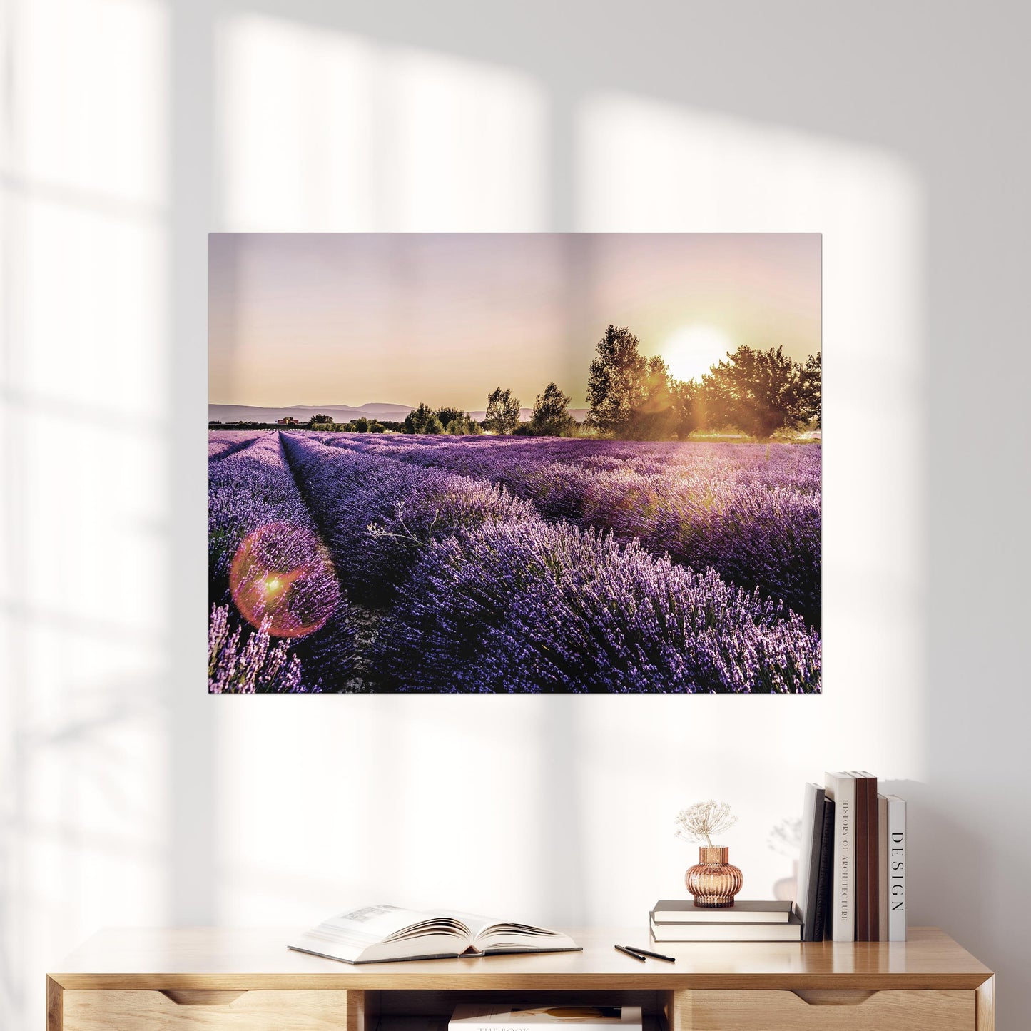 Lavender Fields