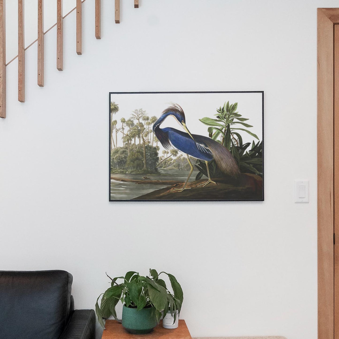 Louisiana Heron, Birds of America
