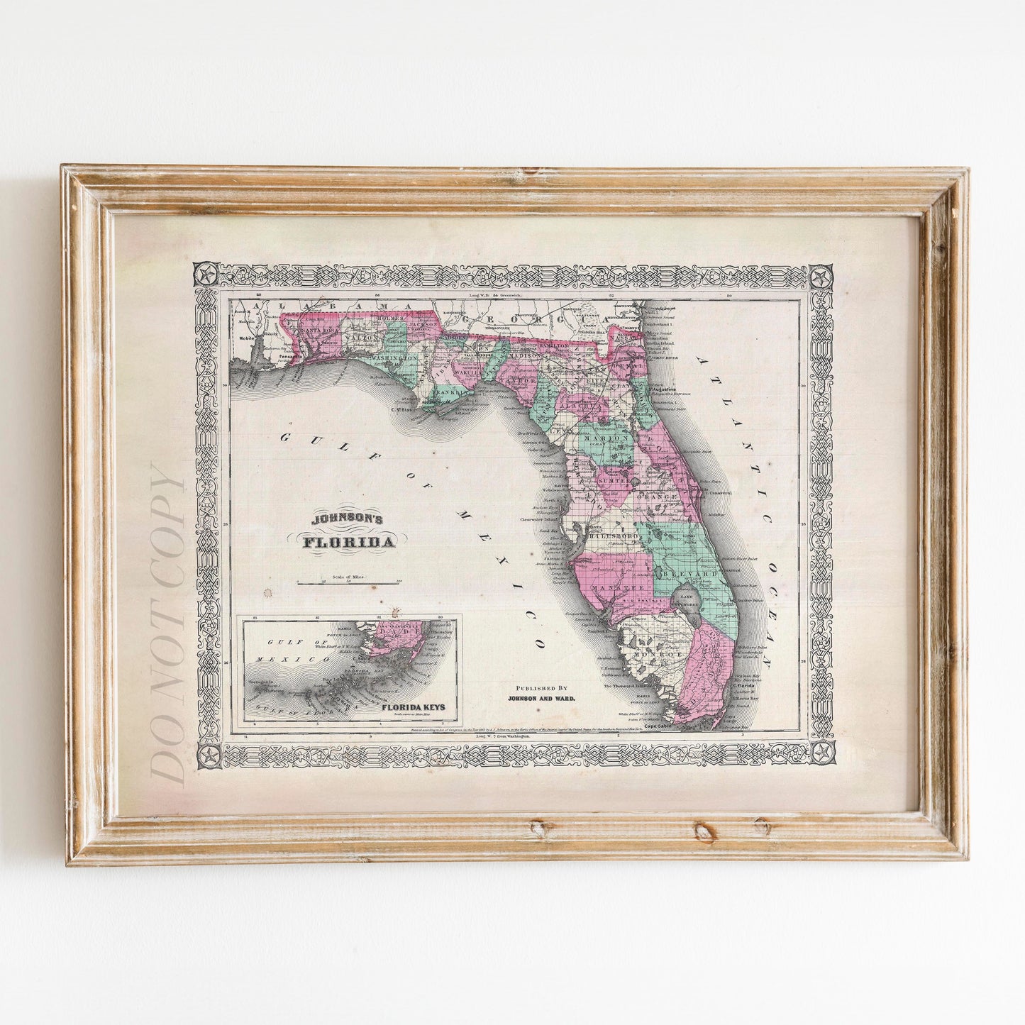 Map of Florida 1866