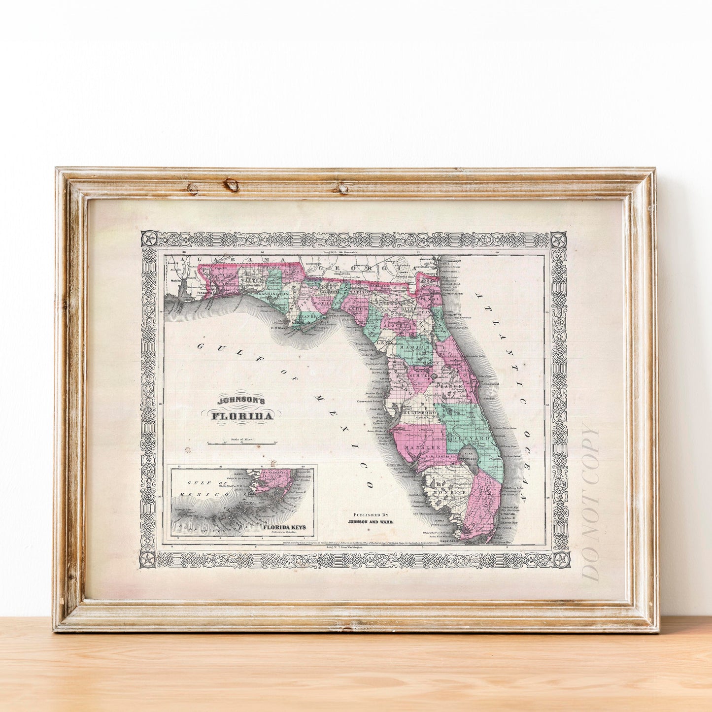 Map of Florida 1866