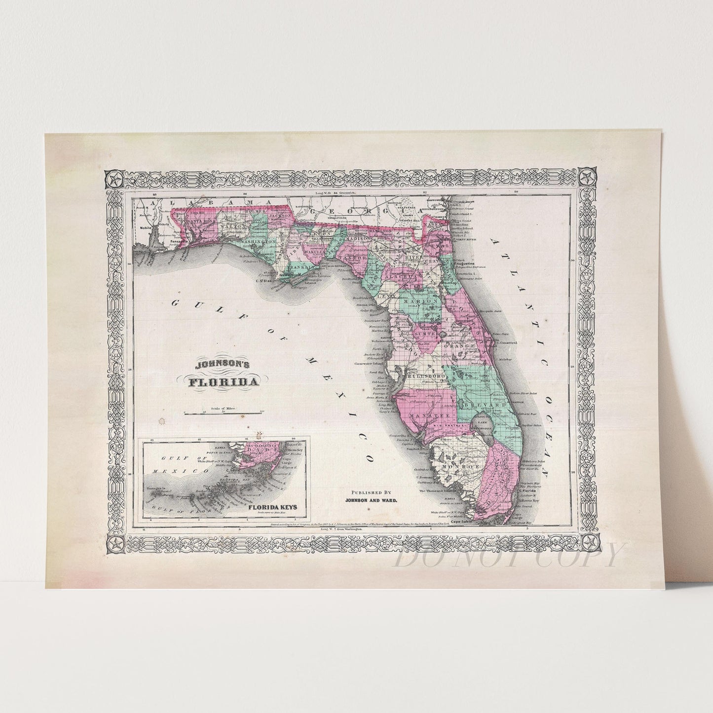 Map of Florida 1866