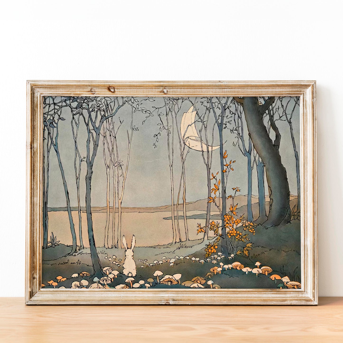Mushrooms in the Moonlight