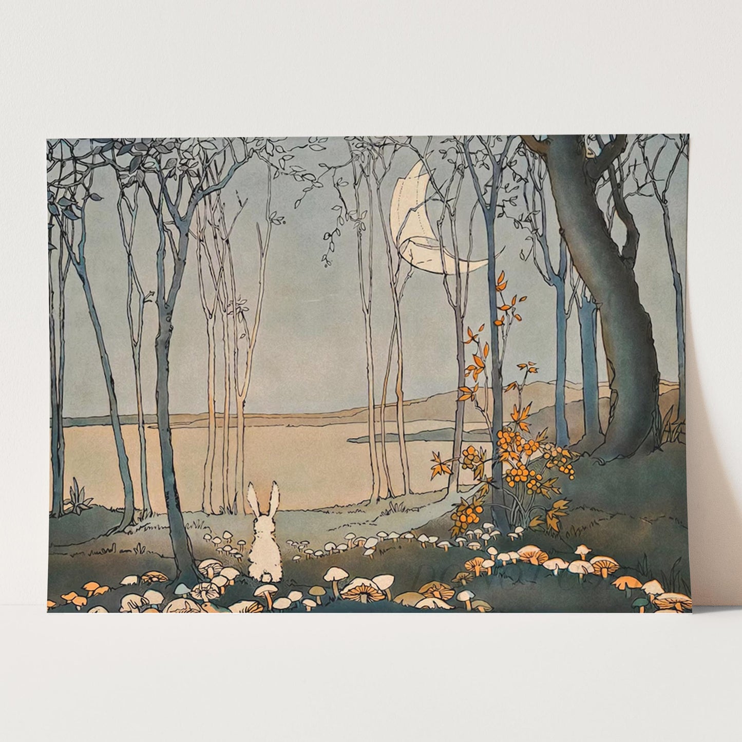 Mushrooms in the Moonlight