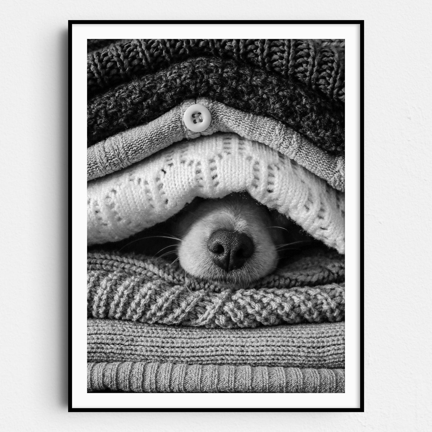 Noses Only Dog Hiding