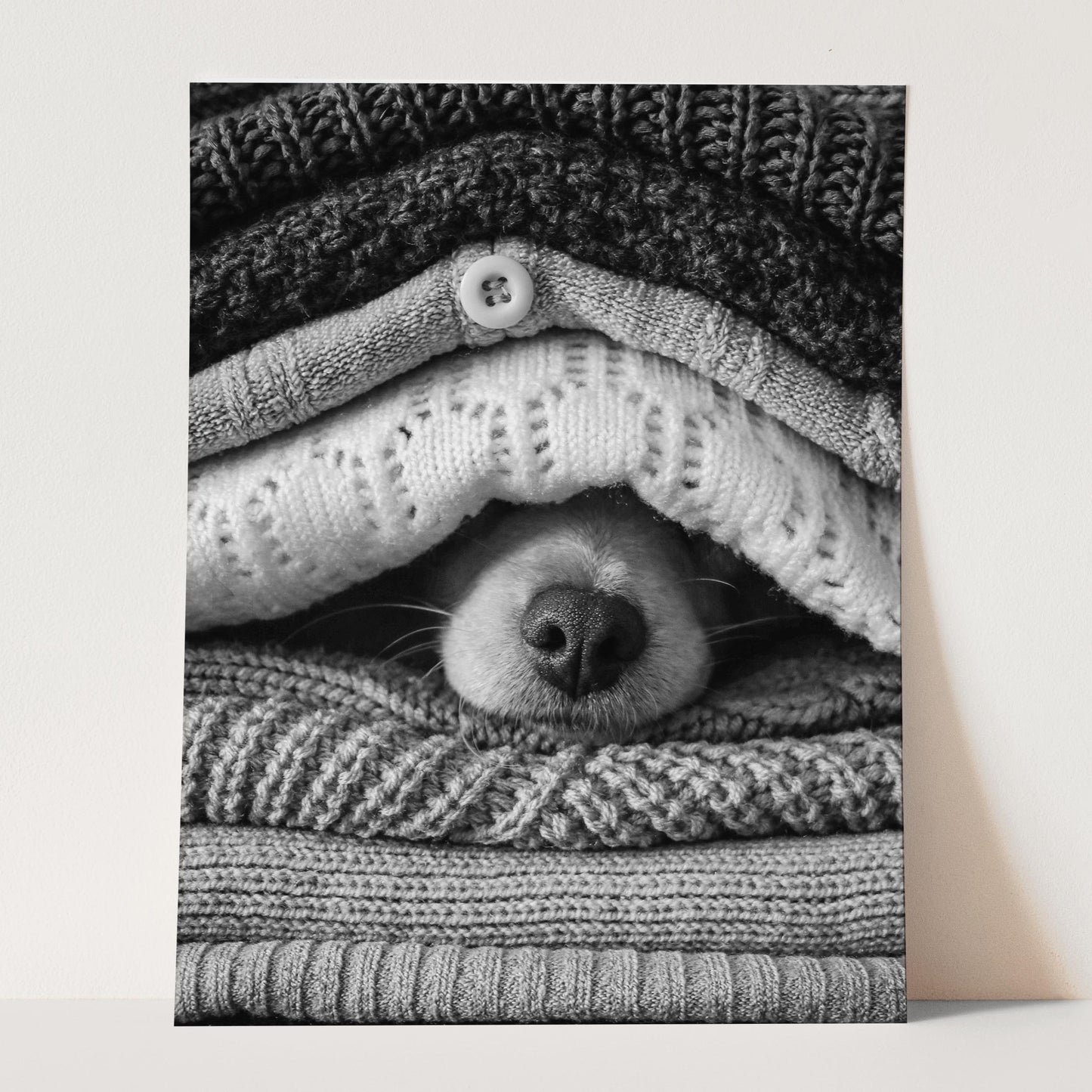 Noses Only Dog Hiding