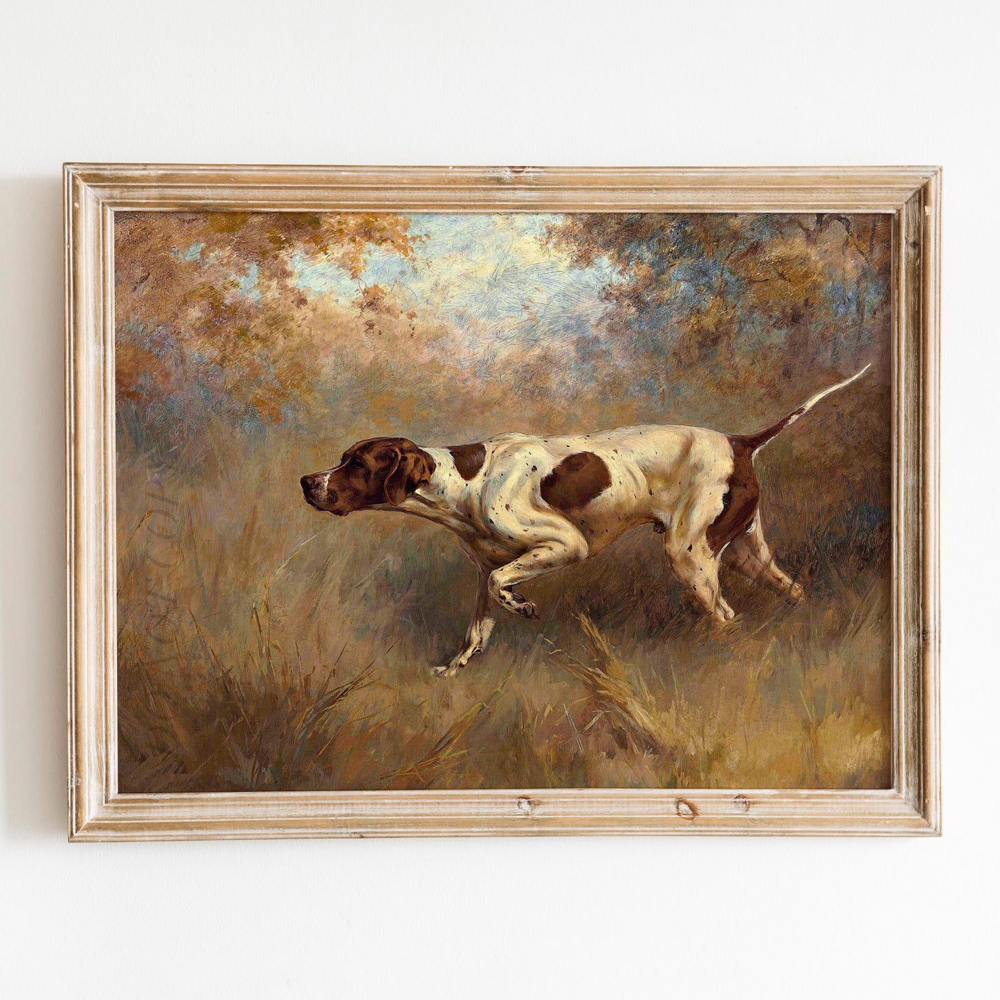 On Point English Pointer Dog