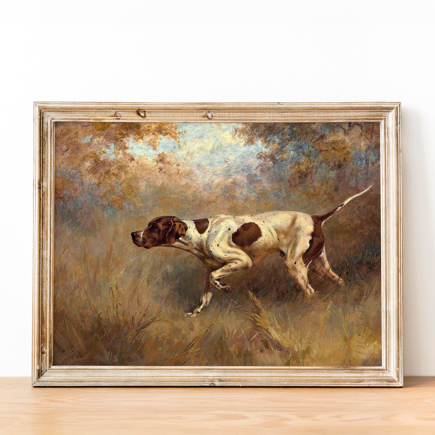 On Point English Pointer Dog