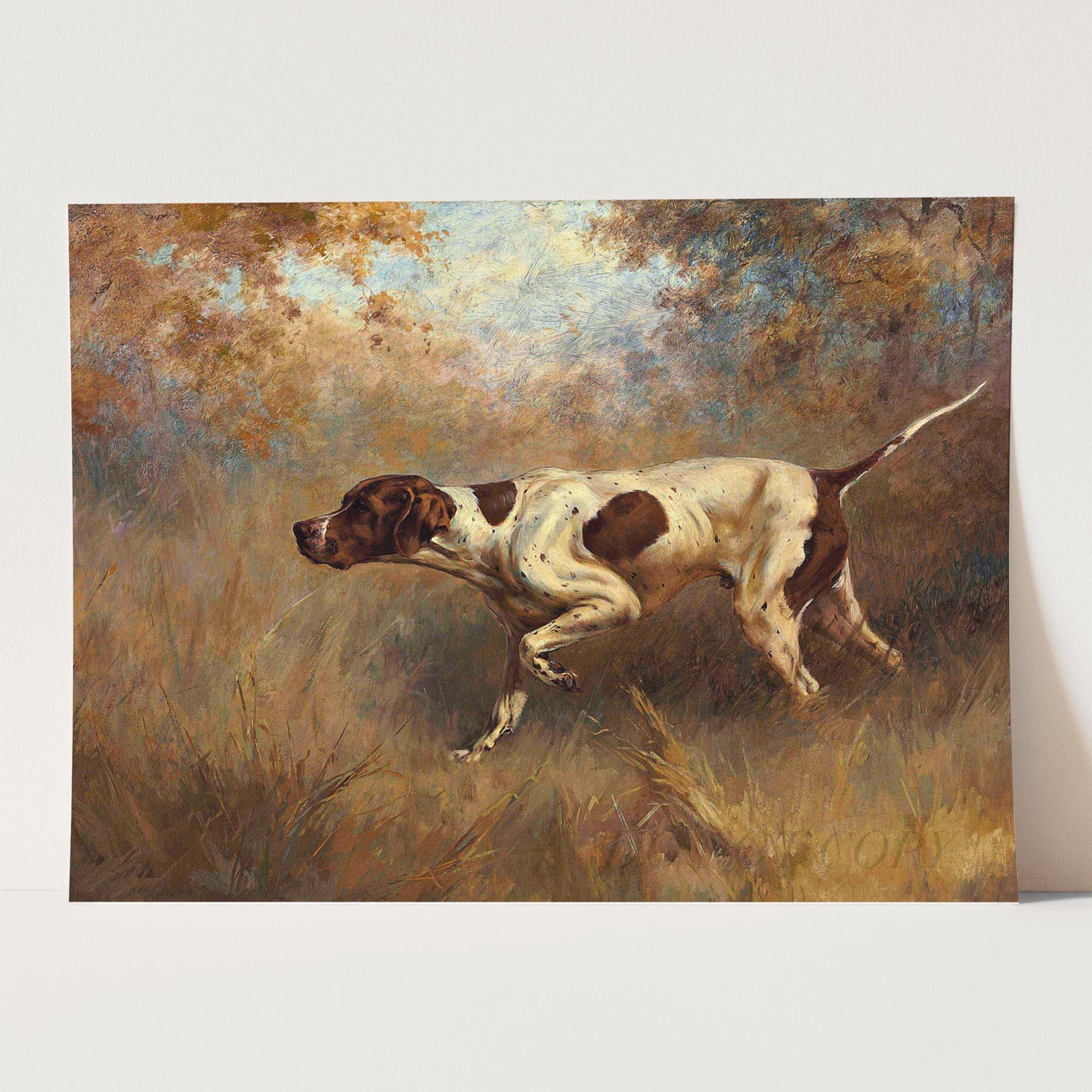 On Point English Pointer Dog