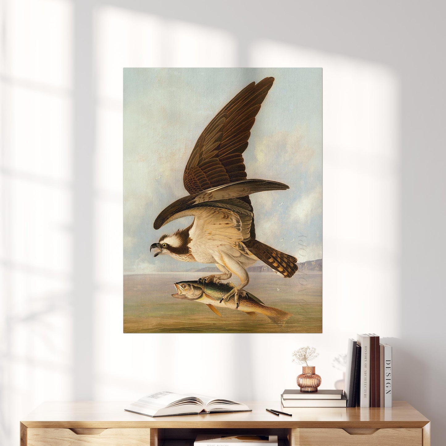 Osprey and Weakfish, Birds of America