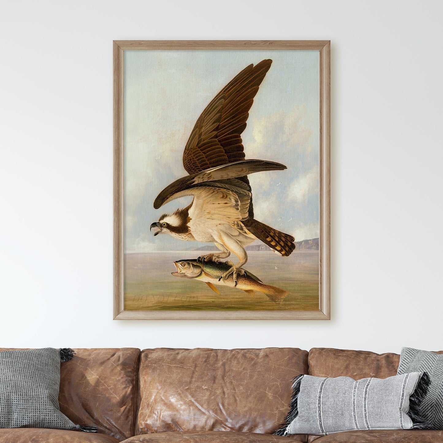 Osprey and Weakfish, Birds of America