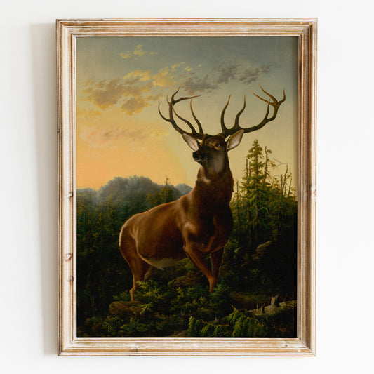 Deer in Forest by Alexander Brodszky