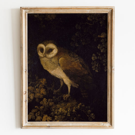An Owl, Dark Academia by Moses Haughton