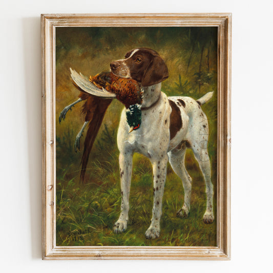 German Shorthaired Pointer Dog 1912