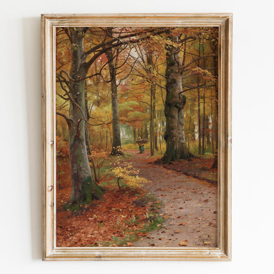 A Beech Forest in Autumn