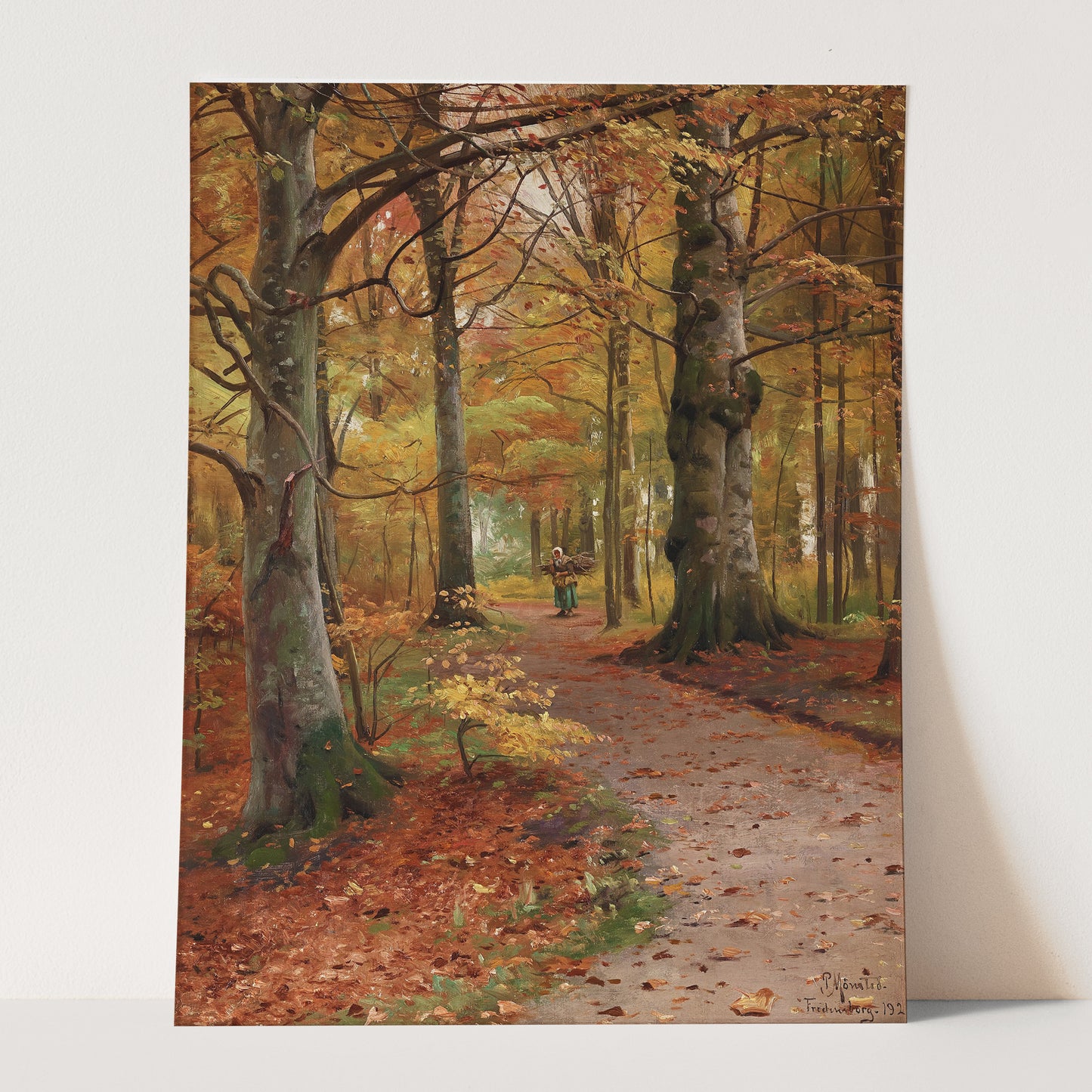 A Beech Forest in Autumn