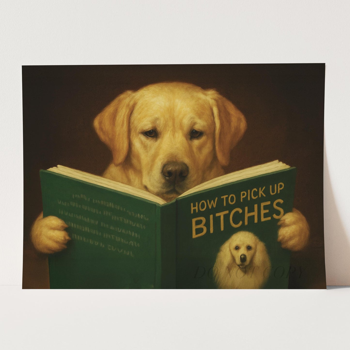 Yellow Labrador Dog Reading Dating Book
