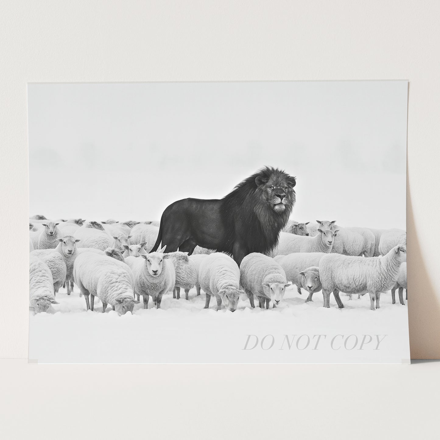 A Lion Among Sheep