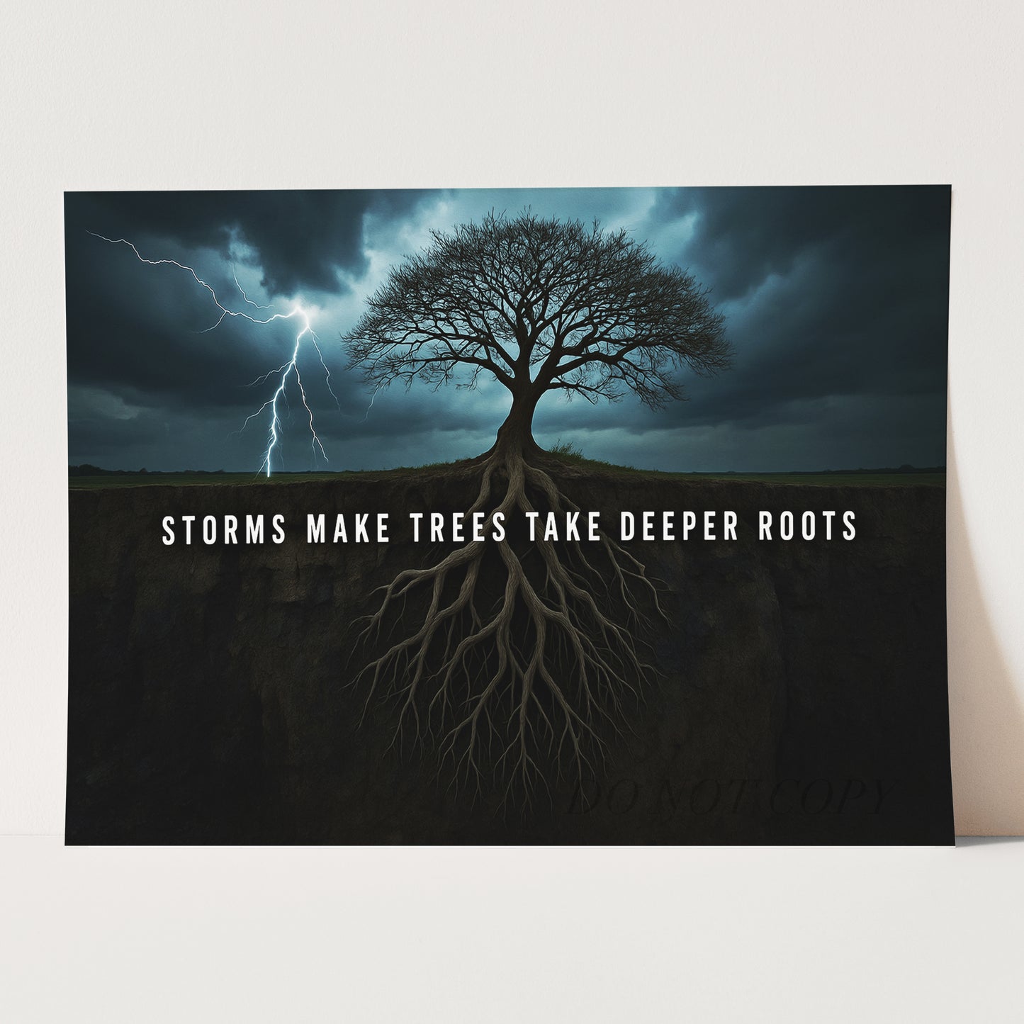 Storms Make Trees Take Deeper Roots