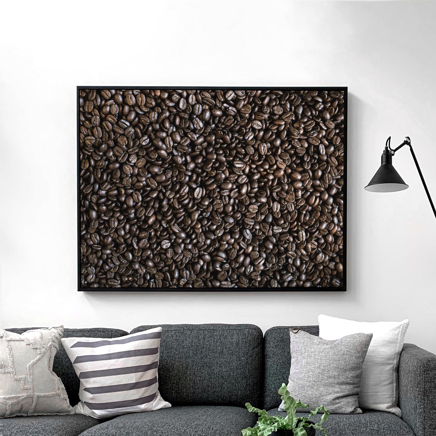 Coffee Beans
